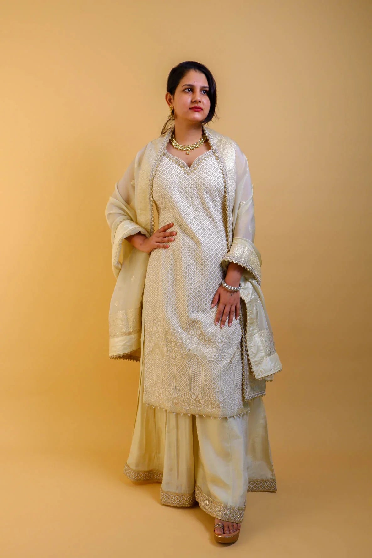 DH 147-Classic Golden Beige Embroidered Suit Set - Dharini's Store
