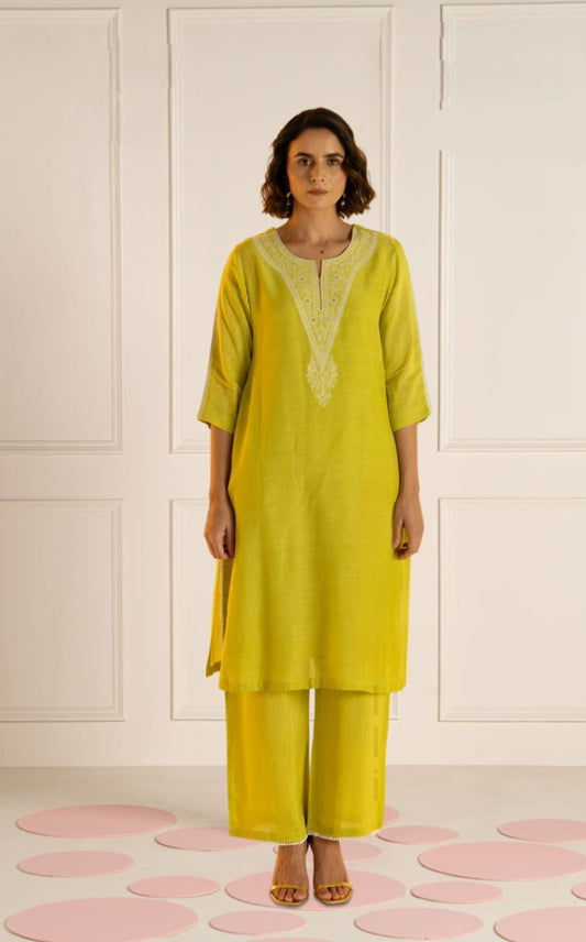DH -177-G-Lime Green Embroidered Co-ord Set - Dharini's Store