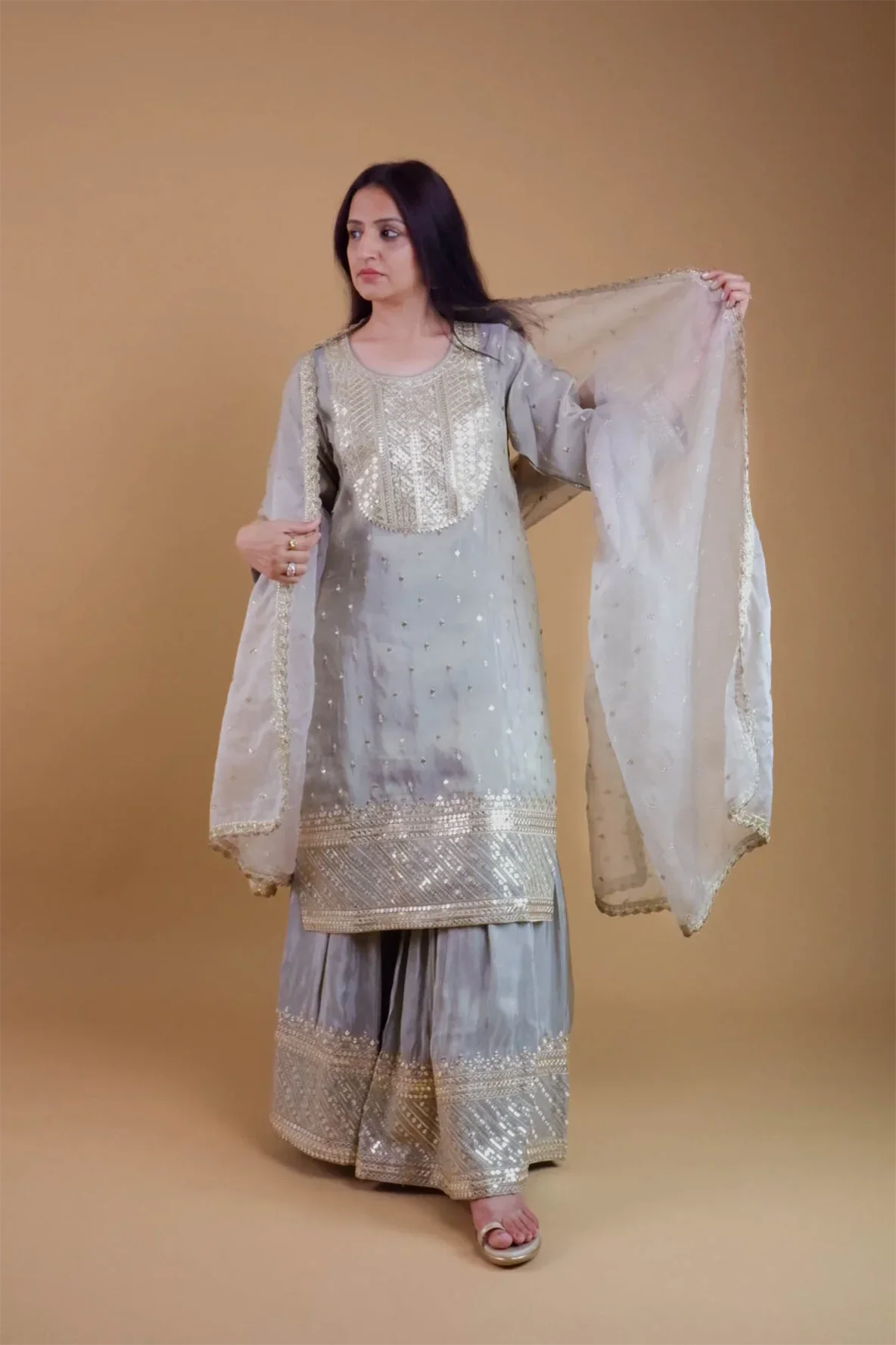 DH 145-G-Elegant Grey Embroidered Tissue Shimmer Suit Set - Dharini's Store