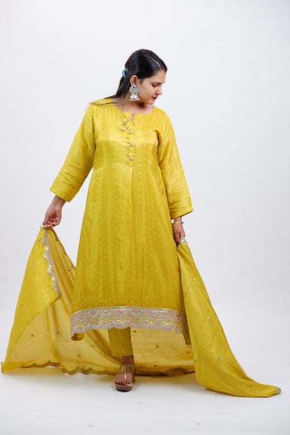 DH232-Lime Yellow Suit with Gota Patti Lace Detailing