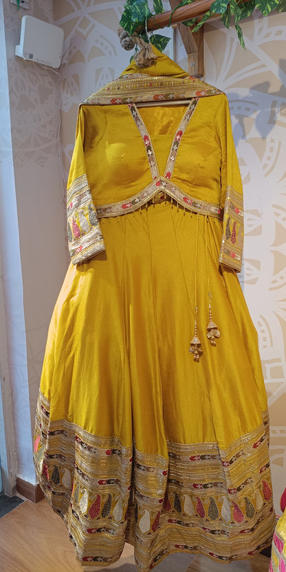 DH219-Vibrant Yellow Lehenga Choli with Embroidered Detailing