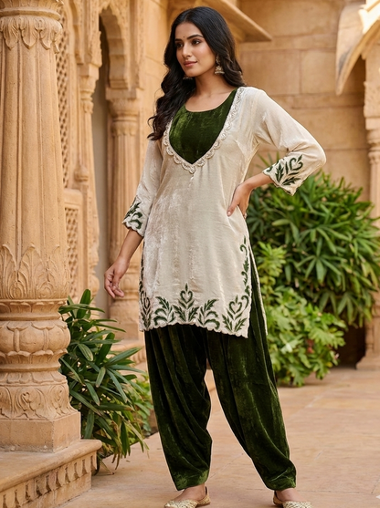 DH293-Velvet Punjabi Suit