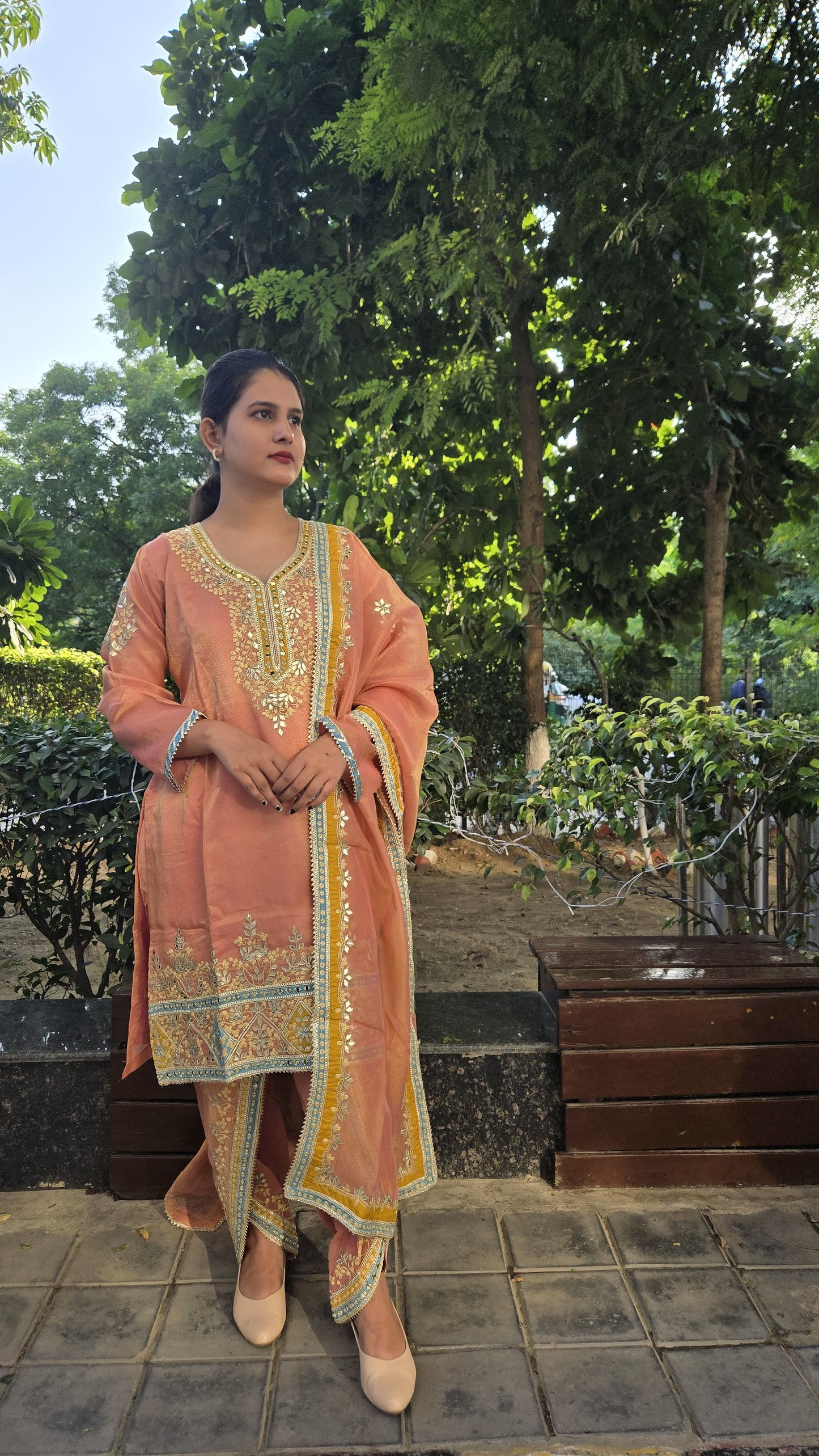 DH241-Sunlit Peach Radiating Grace with Golden Elegance